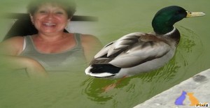 suraquel 64 years old I am from Colonia del Sacramento/Colonia, Seeking Dating Friendship with Man